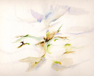 Painting Site-specific: 69° N / 27° O (Serie: NordNordOst), Berg bei Kevo, Finnland, 27.06.2003, ca. 8.00 - 9.00, Aquarell, 30 × 40 cm, Foto, Video, Text (12/36) von Kirsten Kötter