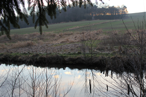 Kirsten Kötter: Foto zu Dämmerung am See (Detail, Ausschnitt), Site-specific painting, See im Taunus, 04.02.2014, ca. 17.30 - 18.30, 50° N / 8 ° O, Öl auf Leinwand, 90 x 70 cm Kirsten Kötter: Foto zu Dämmerung am See (Detail, Ausschnitt), Site-specific painting, See im Taunus, 04.02.2014, ca. 17.30 - 18.30, 50° N / 8 ° O, Öl auf Leinwand, 90 x 70 cm