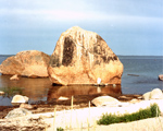 Painting Site-specific: 59° N / 26° O (Serie: NordNordOst), Käsmu, 06.07.2003, ca. 14.00 - 16.00, Aquarell, 30 × 40 cm, Foto, Video, Text (26/36) - Kirsten Kötter, Malerei vor Ort