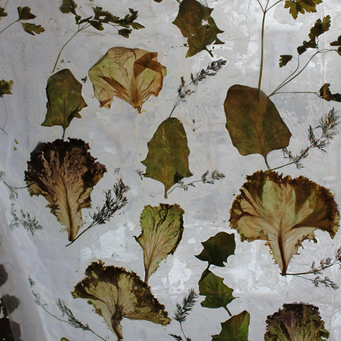 Kirsten K&ouml;tter: 