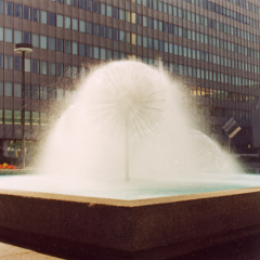 Kirsten Kötter: Site-specific research Uni-Campus Bockenheim, Frankfurt am Main, 20.06.2004, photograph