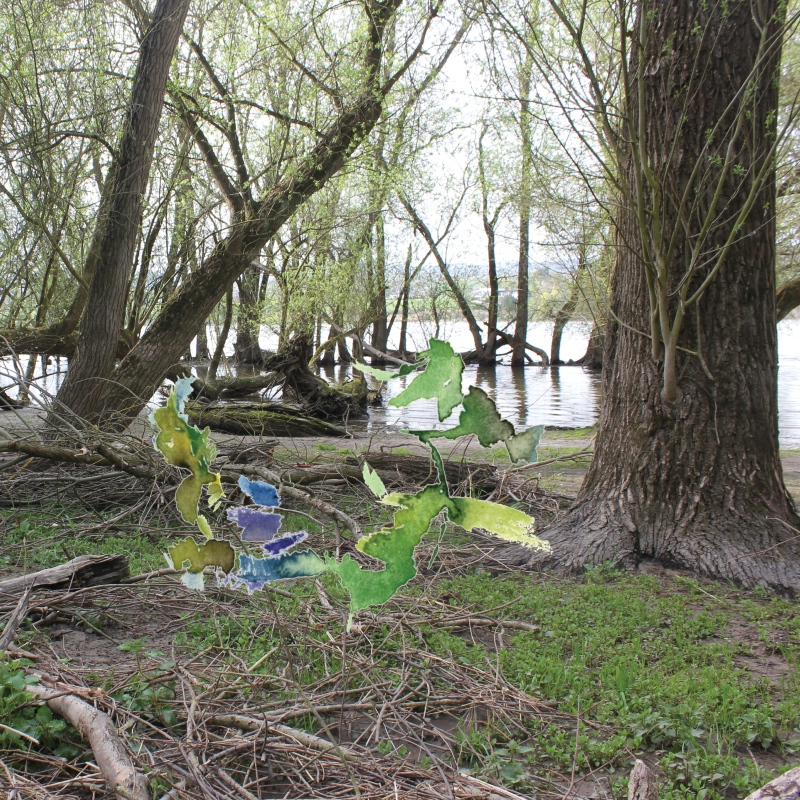 2022-04-13_rhein_50-50_kon25, Budenheim, digital montage (Kirsten Kötter)