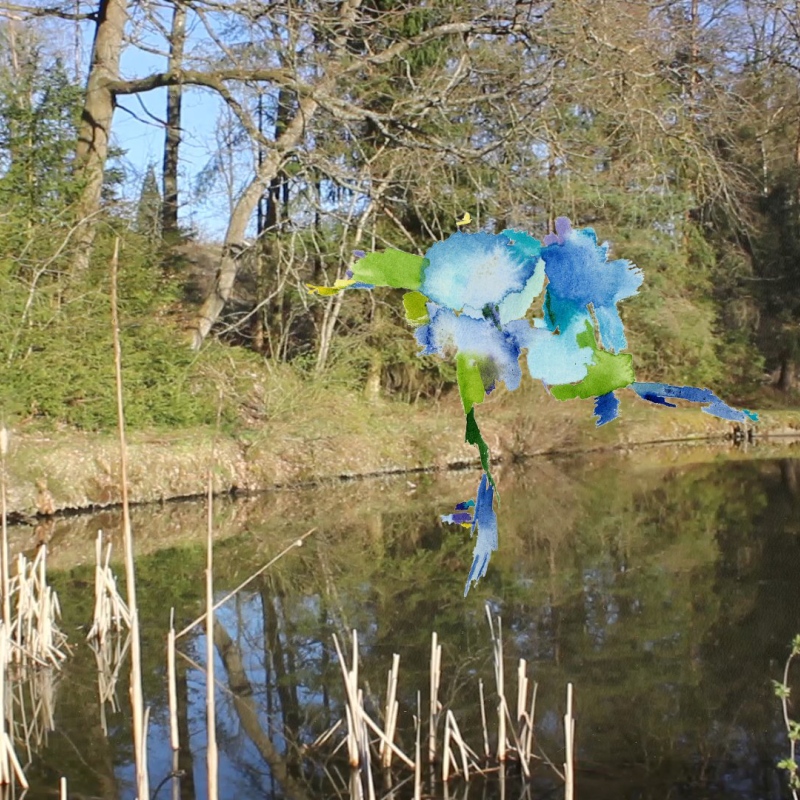 2022-04-16_fischteich_mvi1135_protokoll_03-15_50-50, digital montage (Kirsten Kötter)